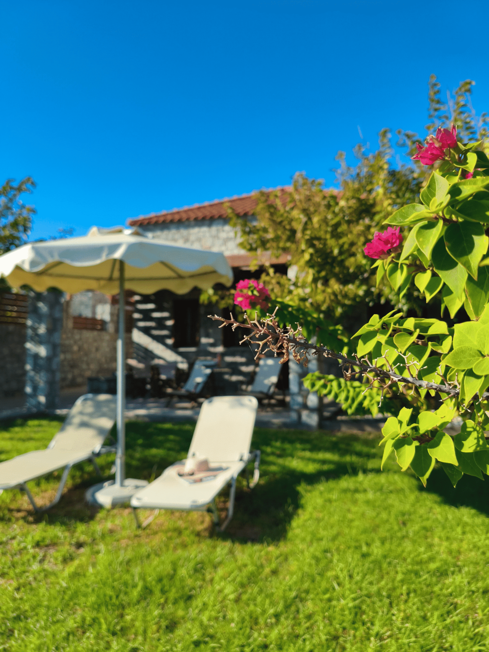 Garden sunbeds with the villa exterior in the background at Alisahni Villas in Kiotari, Rhodes.